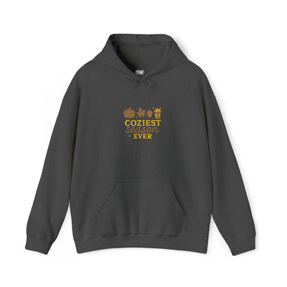 Unisex Heavy Blend™ Hooded Sweatshirt, Cozy Fall Sweater
