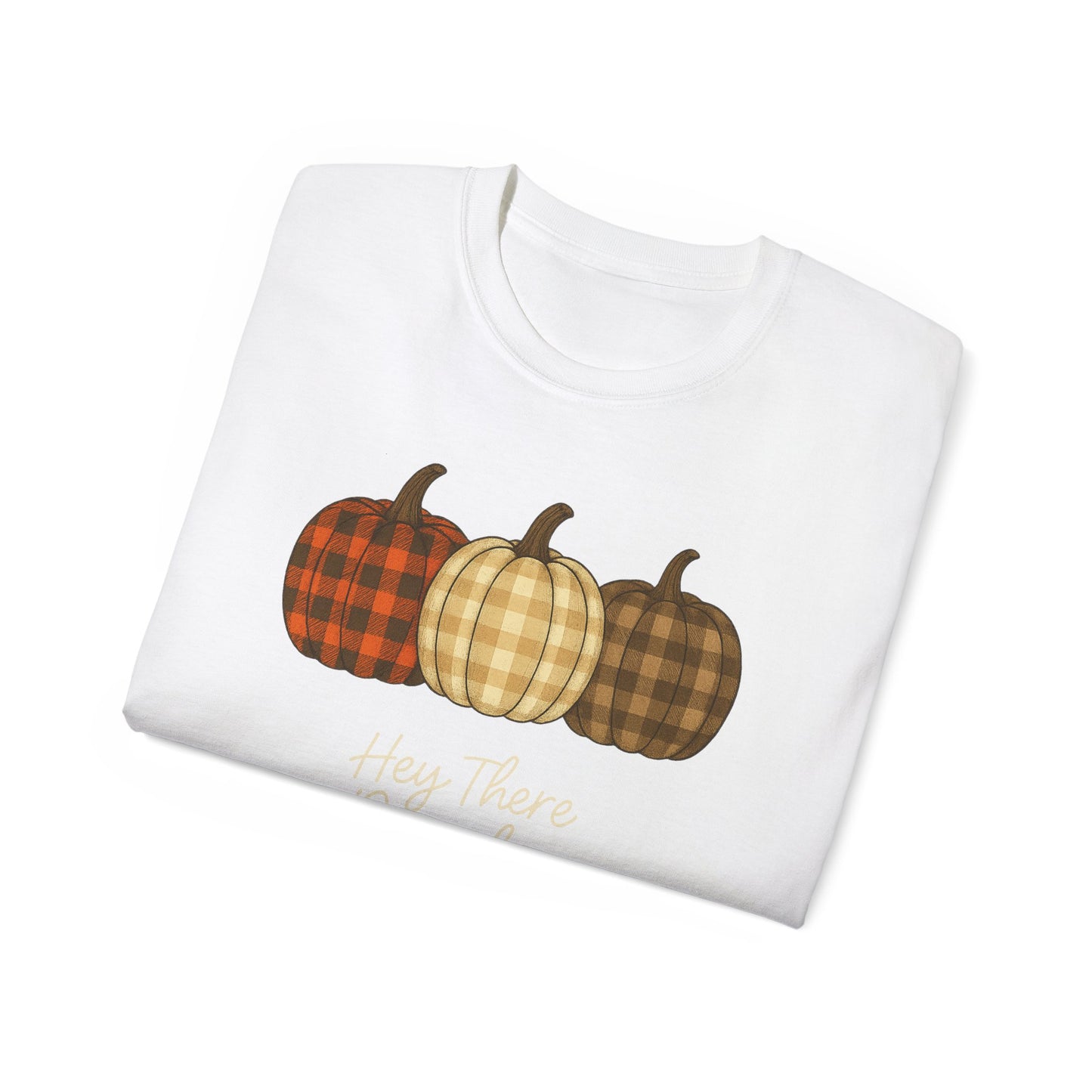 Customizable slogan Pumpkin T-Shirt | Plaid Pumpkin Fall Tee 🍂 | Cute Autumn Outfit | Cozy Fall Shirt | Pumpkin Patch Top | Trending Fall Aesthetic 2025