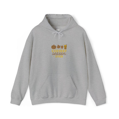 Unisex Heavy Blend™ Hooded Sweatshirt, Cozy Fall Sweater