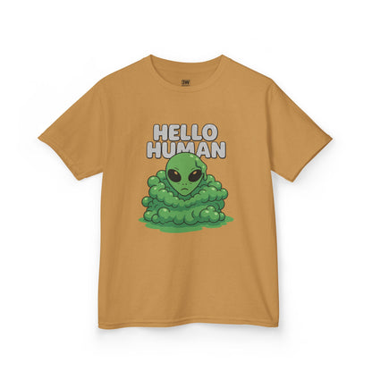 Kids Alien Graphic Tee, Fun Tee for Kids, Cute Monster Shirt, Birthday Gift, Unique Kids Apparel, Hello Human Design